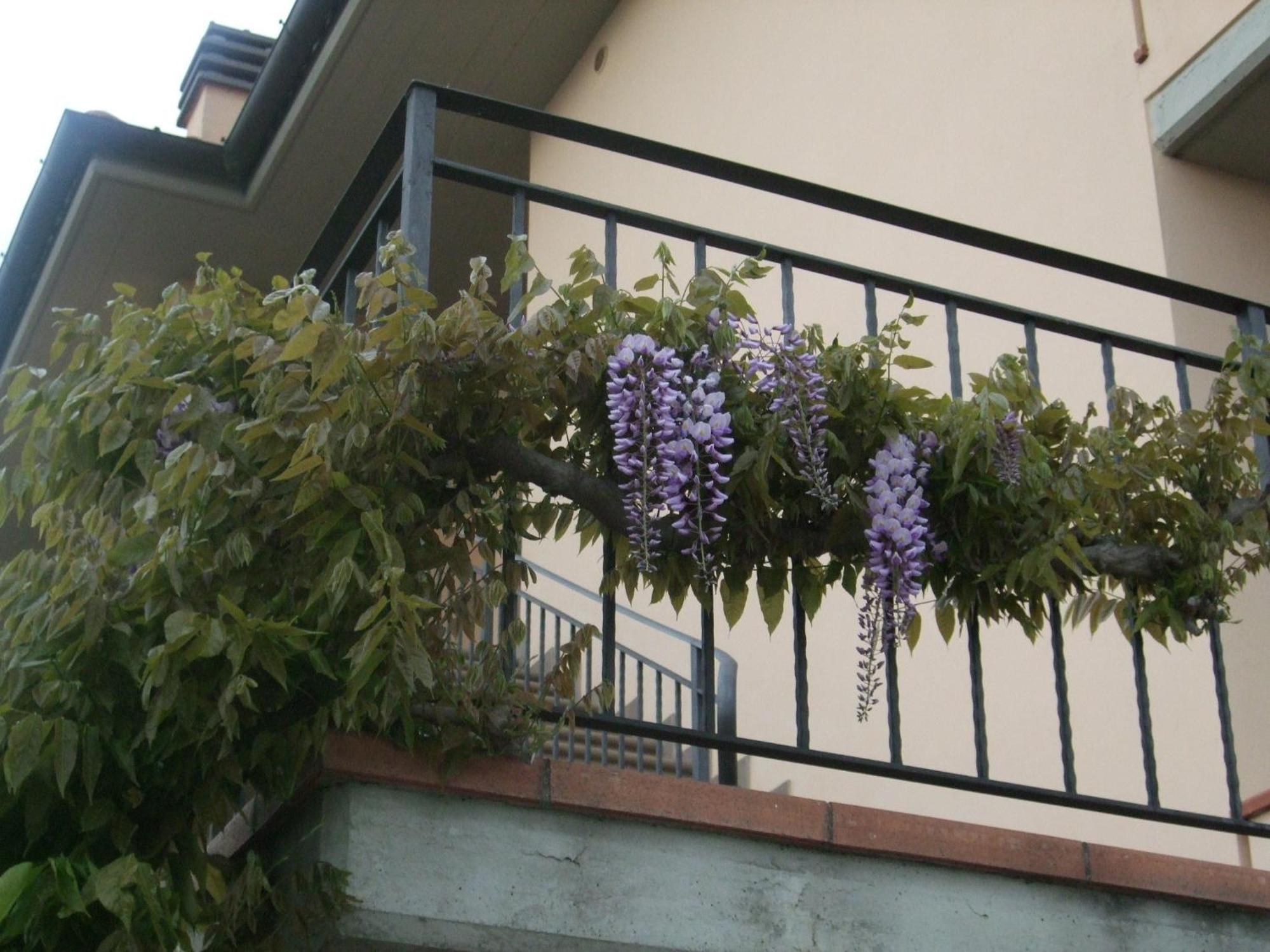 B&B La Casa Di Zefiro 리미테 외부 사진