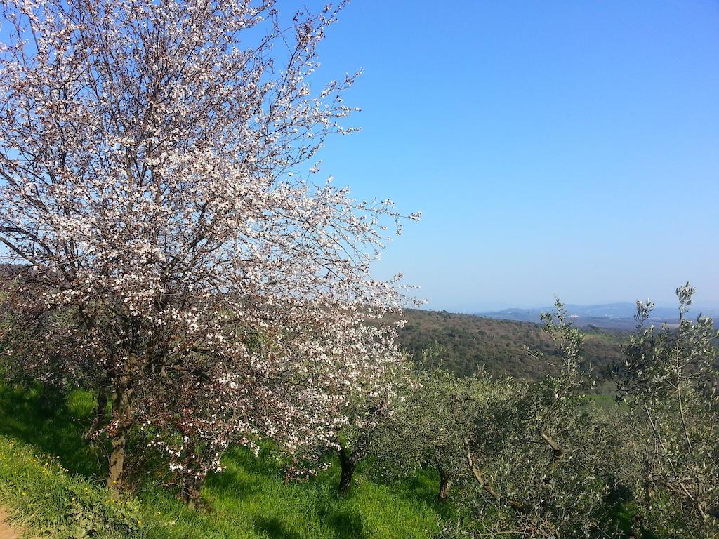 B&B La Casa Di Zefiro 리미테 외부 사진