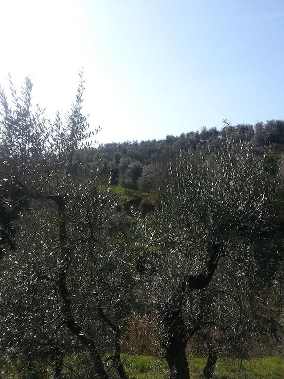 B&B La Casa Di Zefiro 리미테 외부 사진